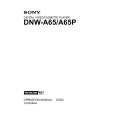SONY DNW-A65 Manual de Usuario