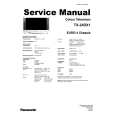 PANASONIC TX24DX1 Manual de Servicio