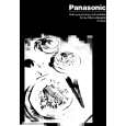 PANASONIC NNE558 Manual de Usuario PANASONIC NNE558 Manual de Usuario