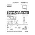 PHILIPS 21PT702A Manual de Servicio